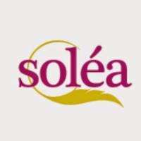Solea Shoes image 3